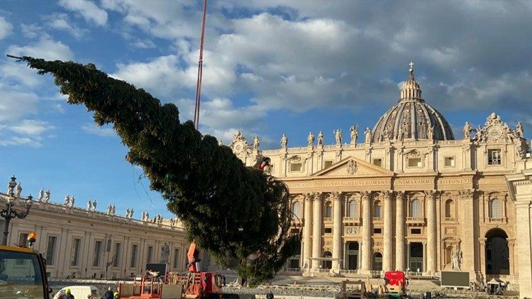 christmas-Rome-vatican-tree