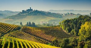 wine-rome-frascati
